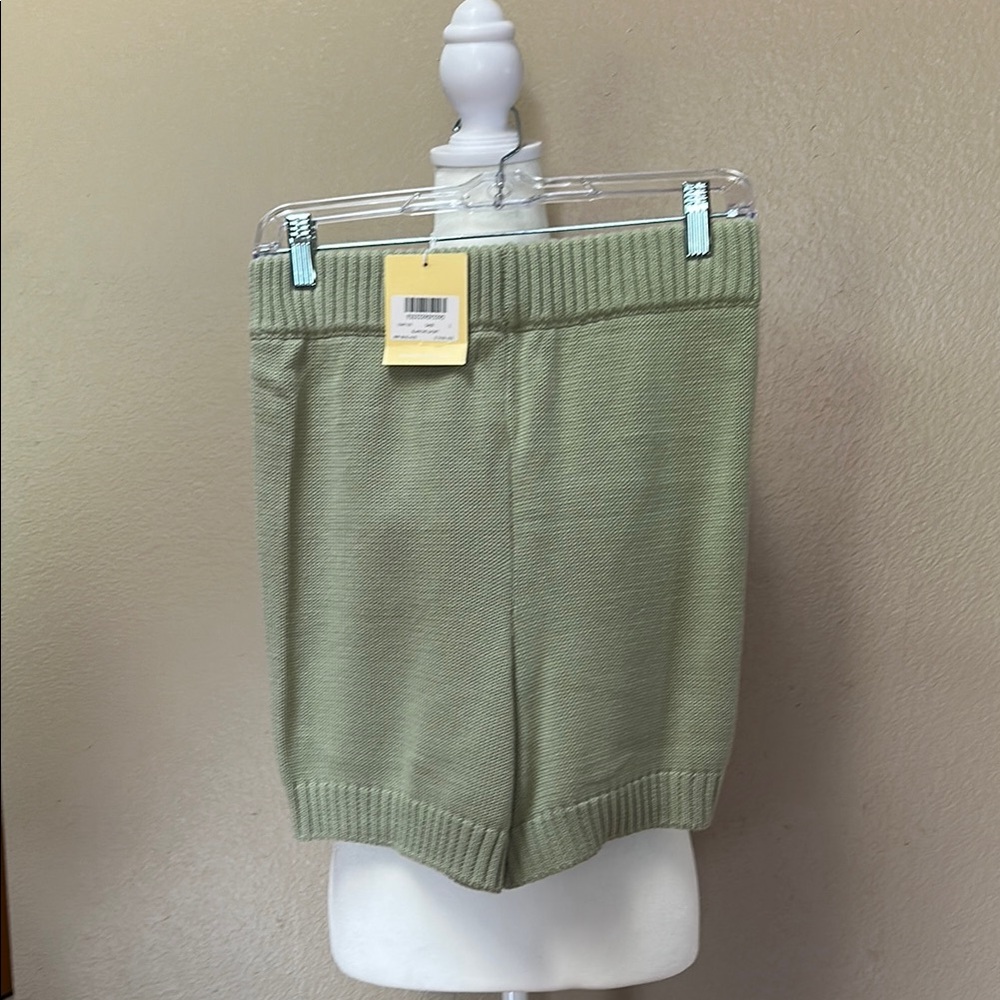 Charlie Holiday High Waist Knit Shorts - Light Green